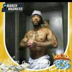 Meet your Posher, Julius